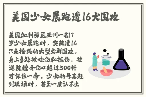 911爆料网小羊没烦恼