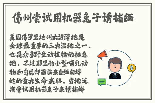 妈妈怀了我的种该叫爸爸什么